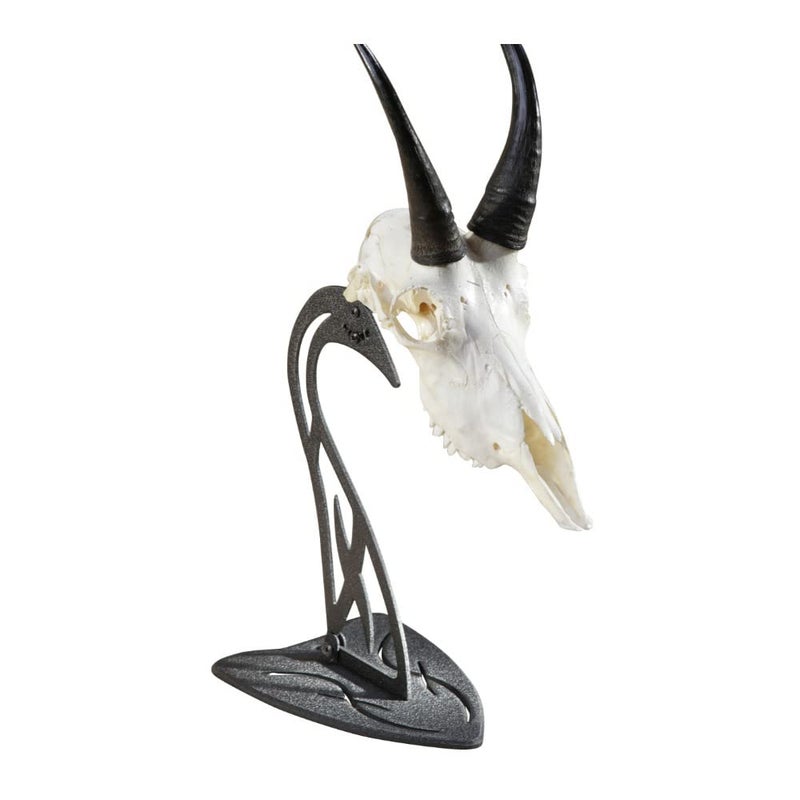 Skull Hooker Table Hooker European Trophy Mount â€“ Perfect Kit for Table Display of Taxidermy Deer Antlers and other Skulls â€“ Graphite Black - Image 3